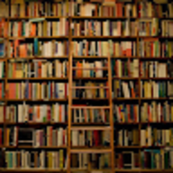 Meet your Posher, Quin - Picture 1 of 1